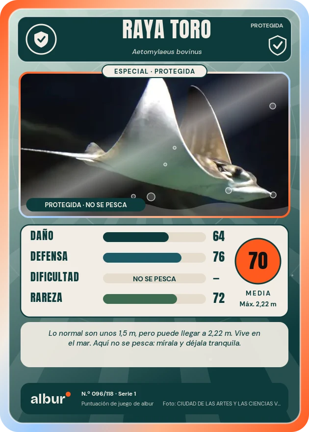 Carta de albur: Raya toro (Aetomylaeus bovinus)