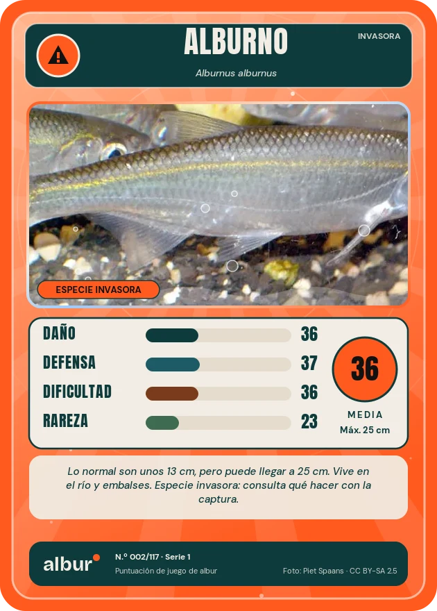 Carta de albur: Alburno