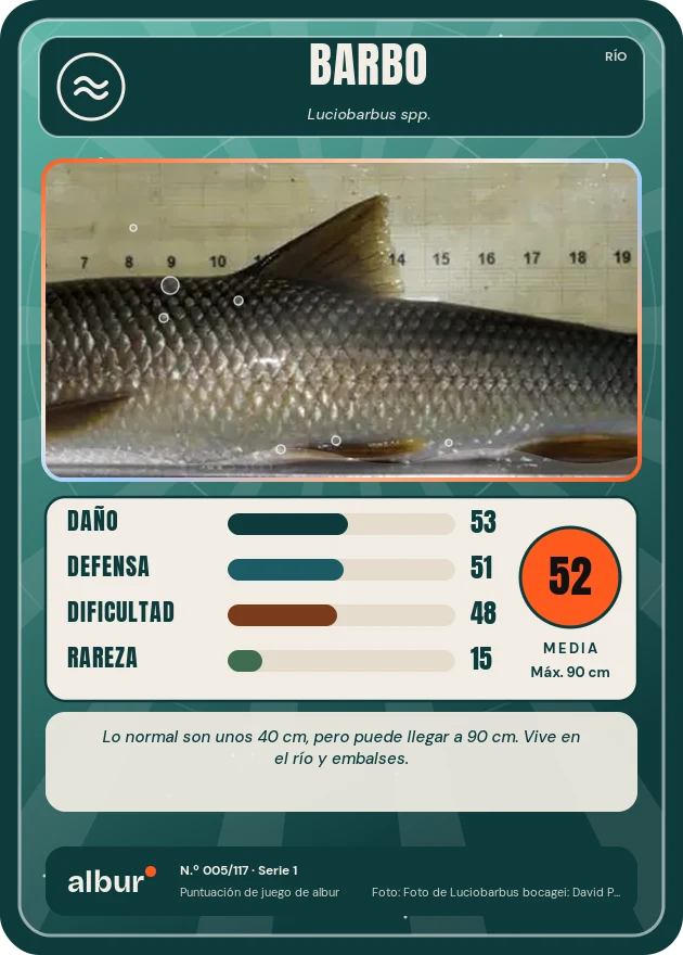 Carta de albur: Barbo
