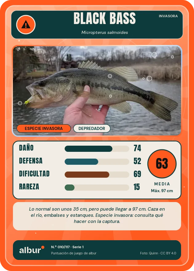 Carta de albur: Black bass