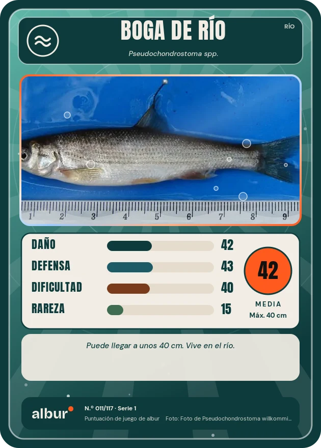 Carta de albur: Boga de río