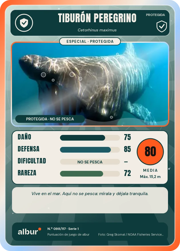 Carta de albur: Tiburón peregrino