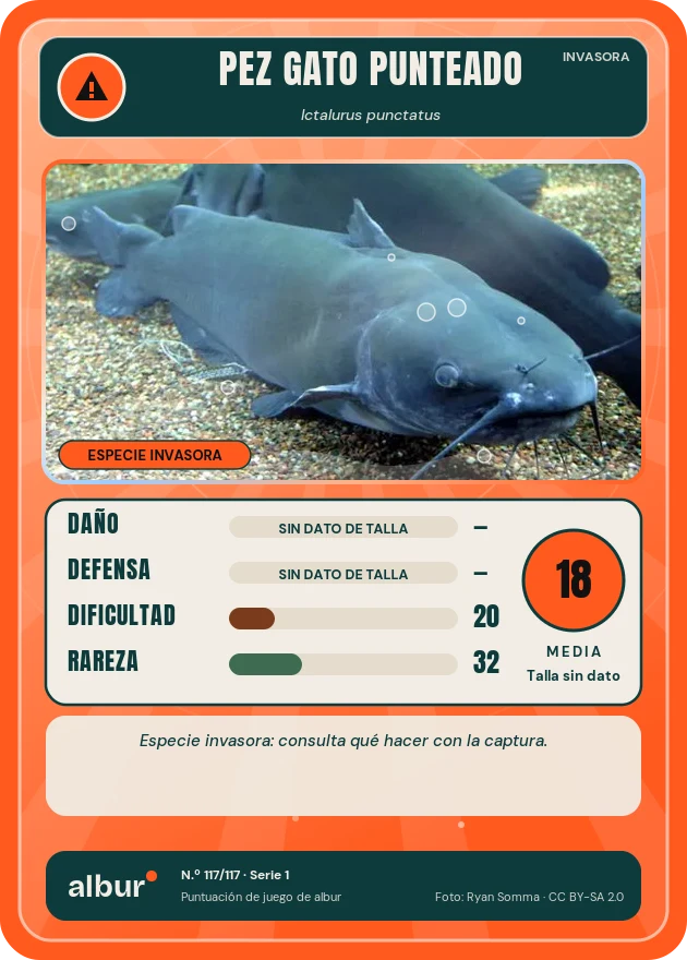 Carta de albur: Pez gato punteado