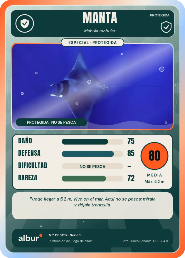 Carta de albur: Manta
