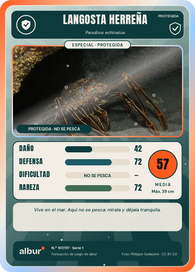Carta de albur: Langosta herreña