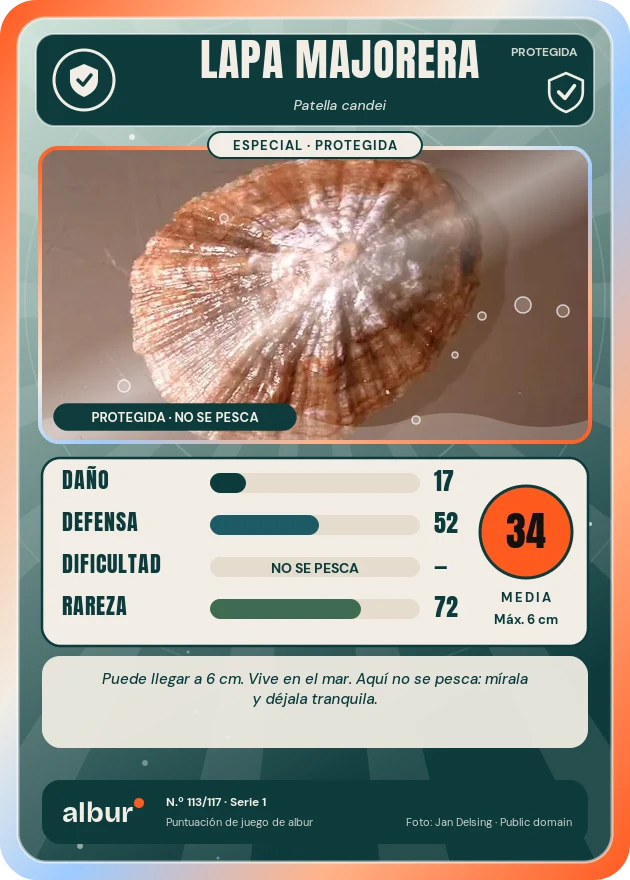 Carta de albur: Lapa majorera