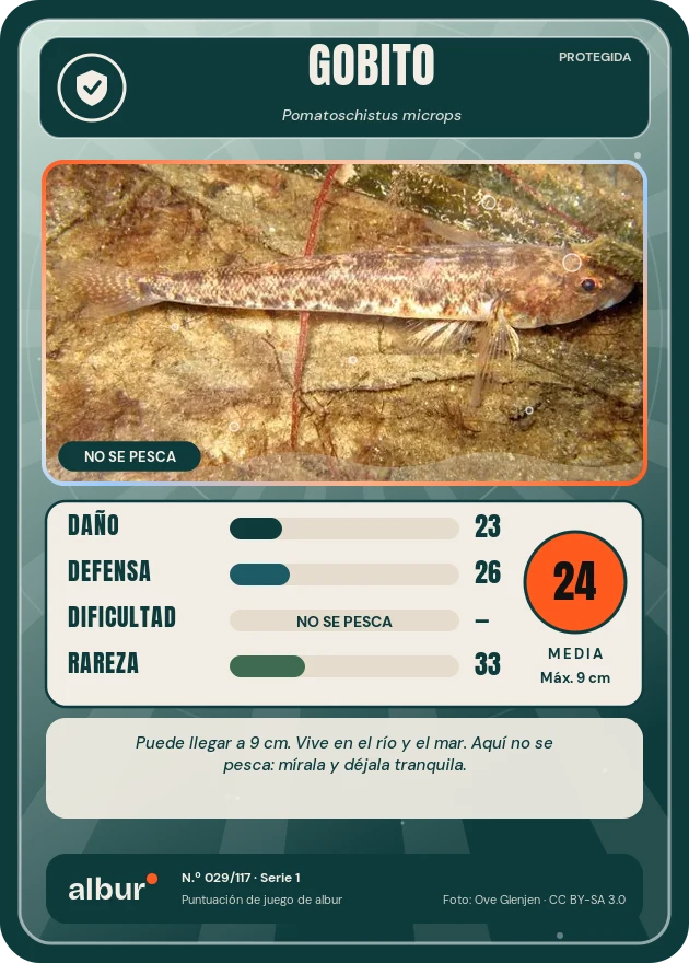 Carta de albur: Gobito