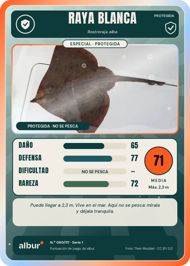 Carta de albur: Raya blanca