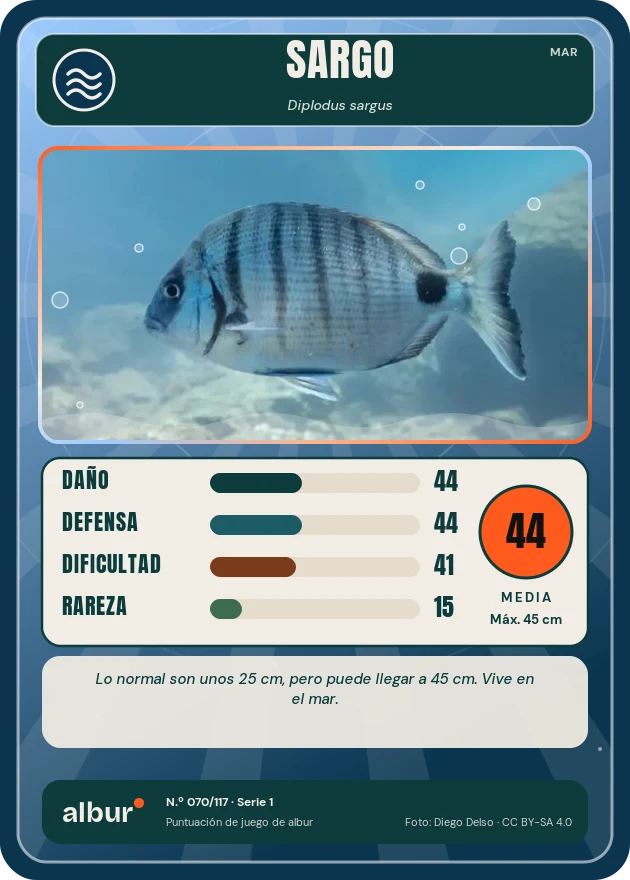 Carta de albur: Sargo