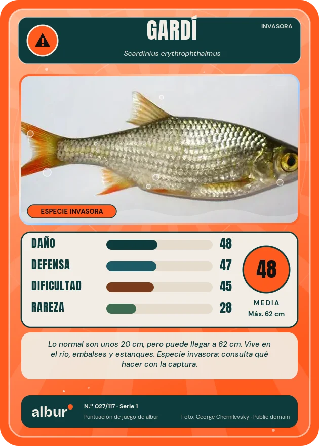 Carta de albur: Gardí