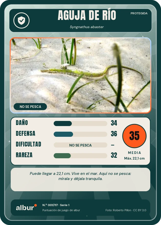 Carta de albur: Aguja de río