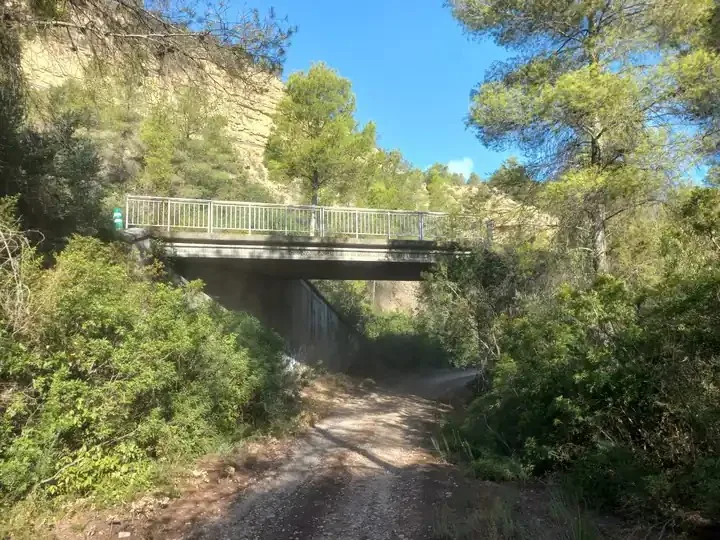 Pack Siluro · Cataluña